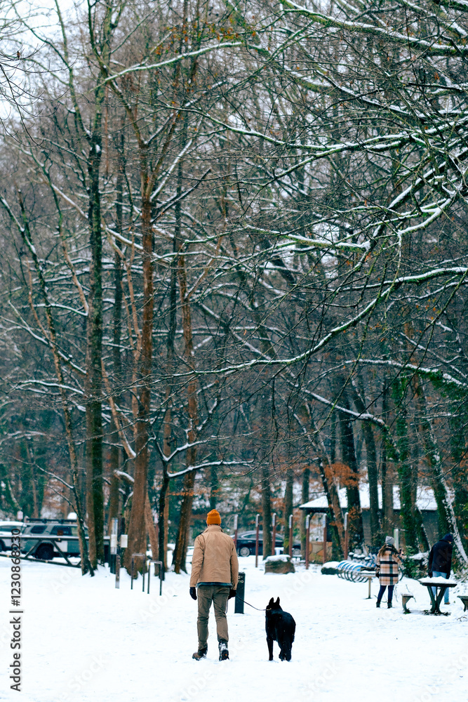 Winter Park Scene with Person Walking Dog Winter Park Scene with Person Walking Dog