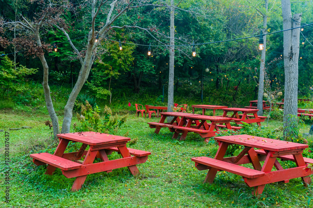 Several red picnic tables in a grassy outdoor area with string lights hanging among trees. Several red picnic tables in a grassy outdoor area with string lights hanging among trees.