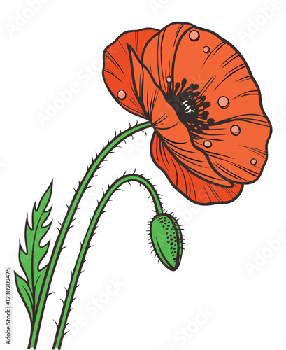 Vibrant Red Poppy Flower Illustration - Botanical Art Design