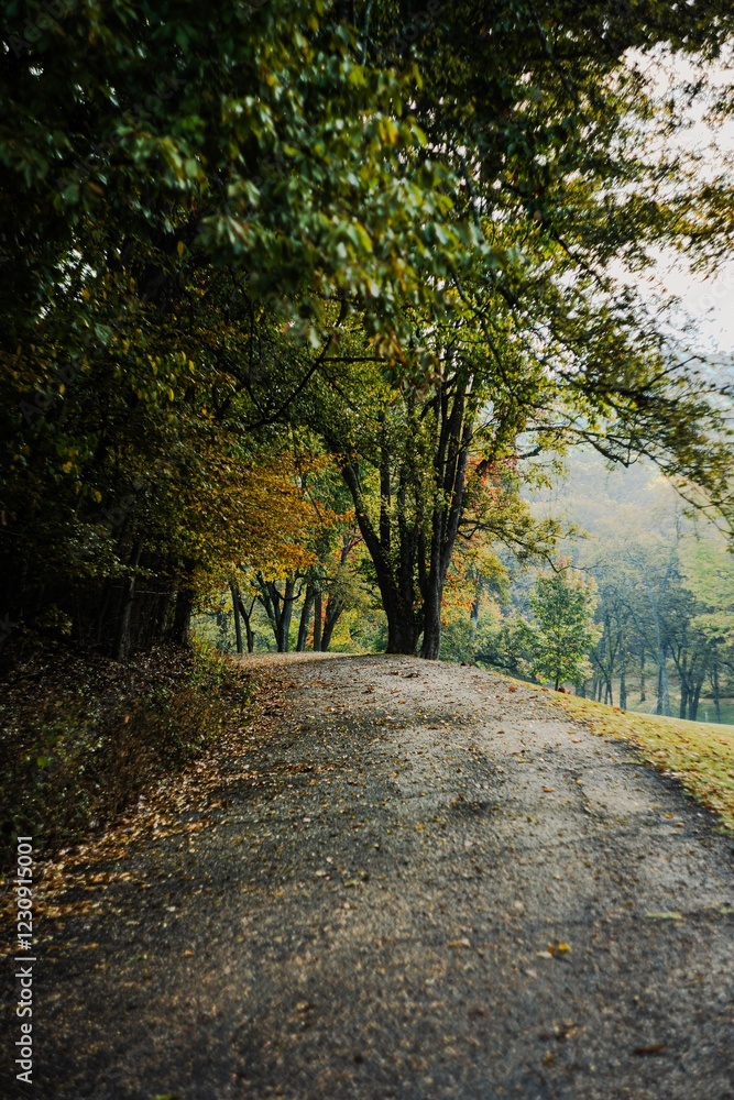 Fototapeta premium Fall Morning Road
