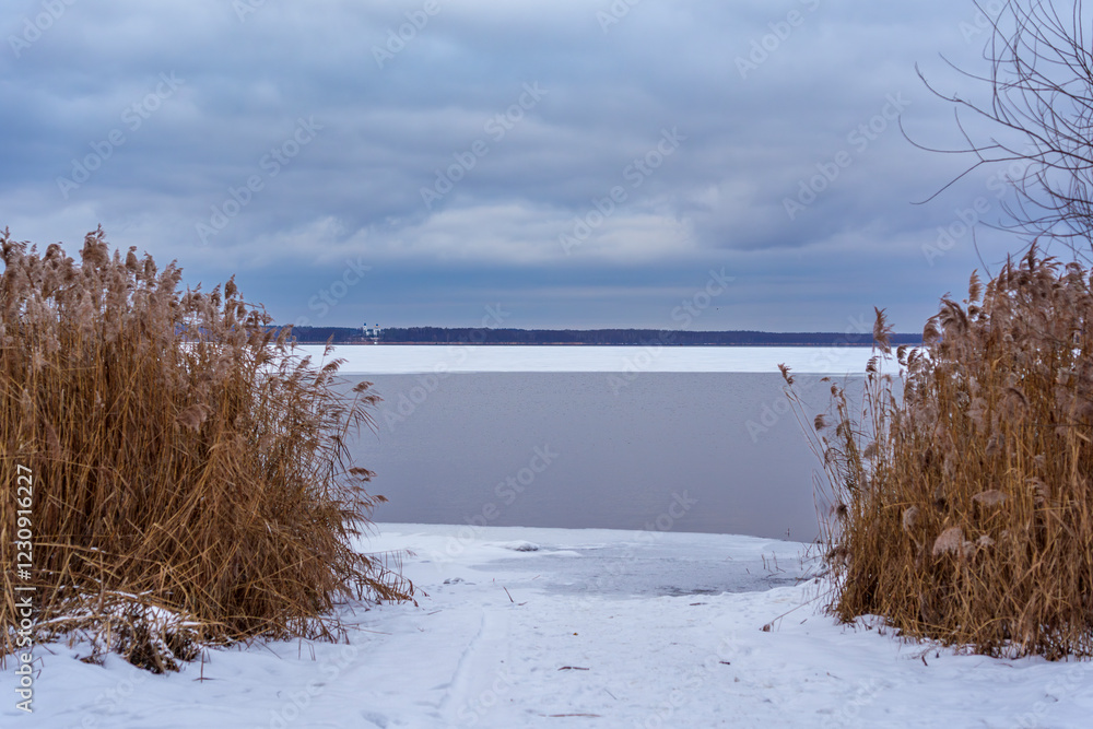 Winter lake landscape with frozen shoreline and dry reeds Winter lake landscape with frozen shoreline and dry reeds