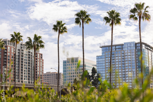 Palm framed view of the downtown skyline buildings of San Jose, California, USA.