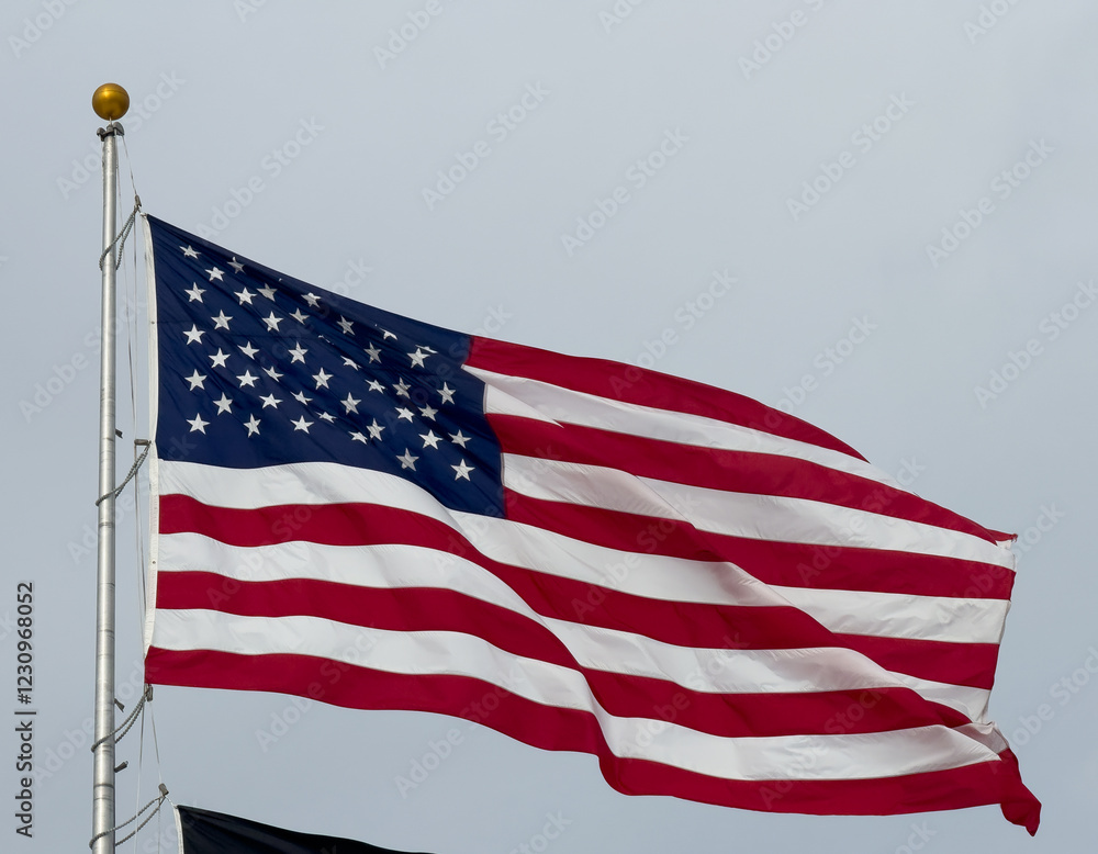 Fototapeta premium The United States flag