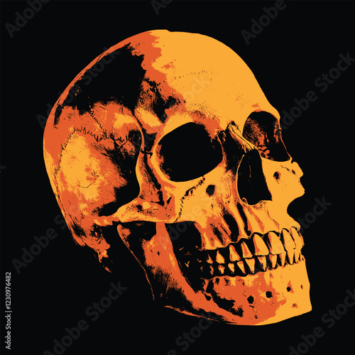 Vintage Human Skull with Aged Texture and Detailed Bone Structure, Isolated on Black Background for Design