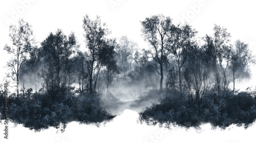 Fototapeta Naklejka Na Ścianę i Meble -  Dark forest covered by fog on transparent background