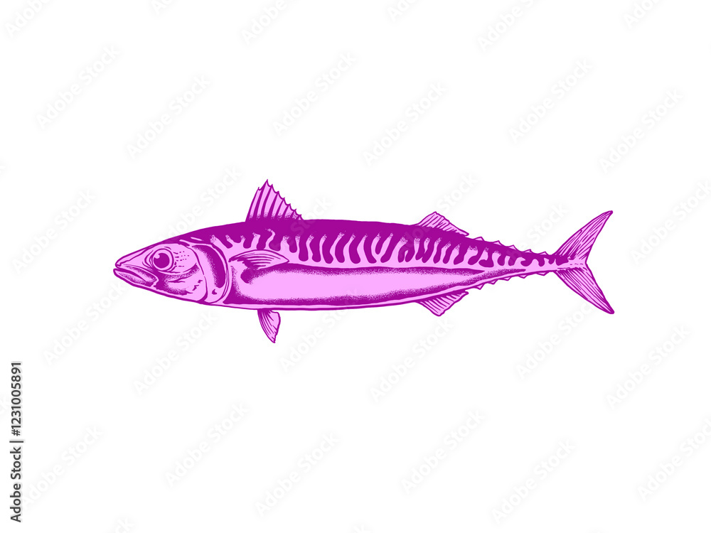 Obraz premium Hand draw fish