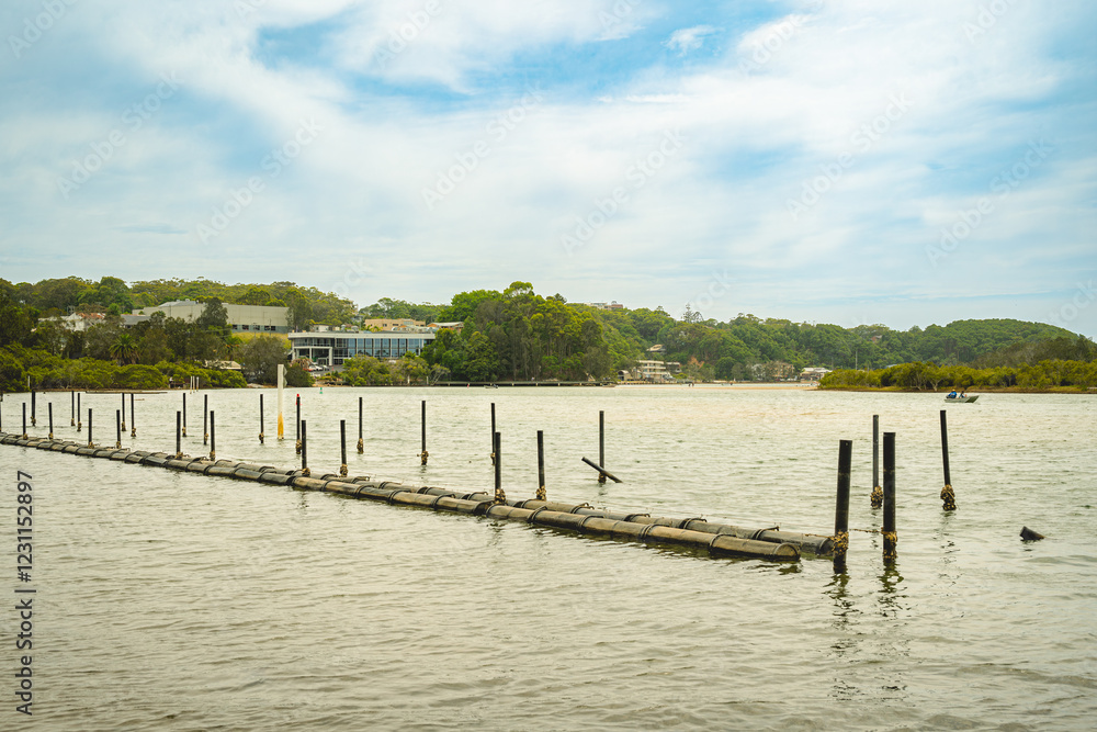 Oyster Farming in Nambucca River, Nambucca Heads, NSW, Australia: floating rafts and plastic tumblers or cylinders are used to grow oysters. Oyster Farming in Nambucca River, Nambucca Heads, NSW, Australia: floating rafts and plastic tumblers or cylinders are used to grow oysters.