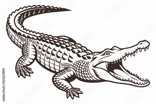crocodile on a white