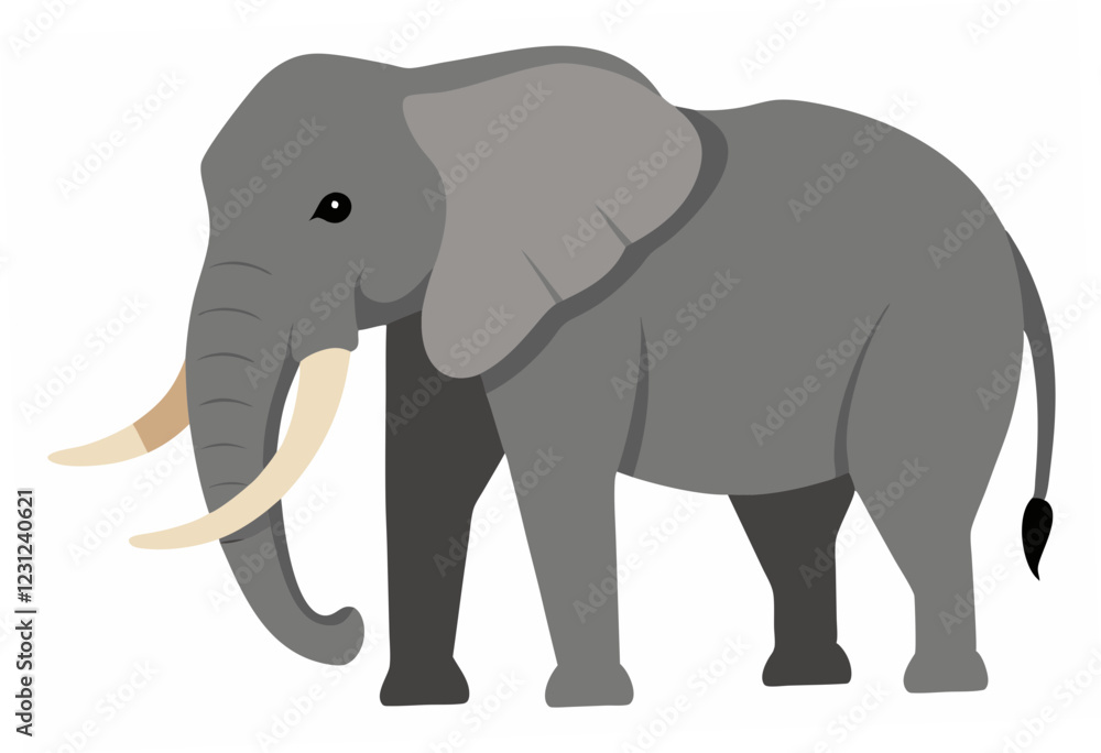 elephant isolated on white elephant isolated on white