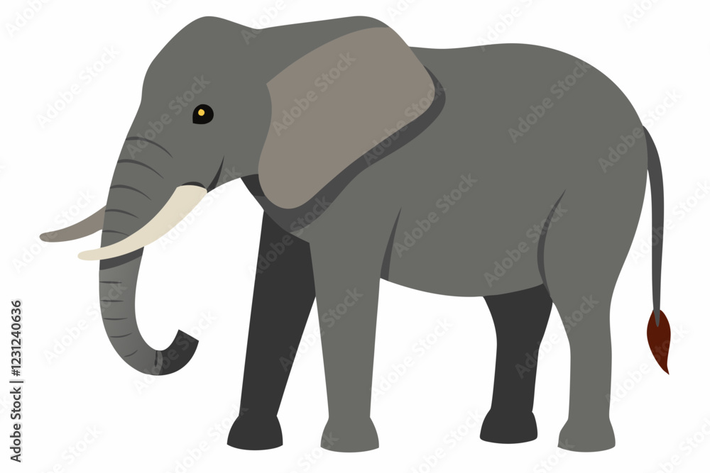 elephant isolated on white elephant isolated on white