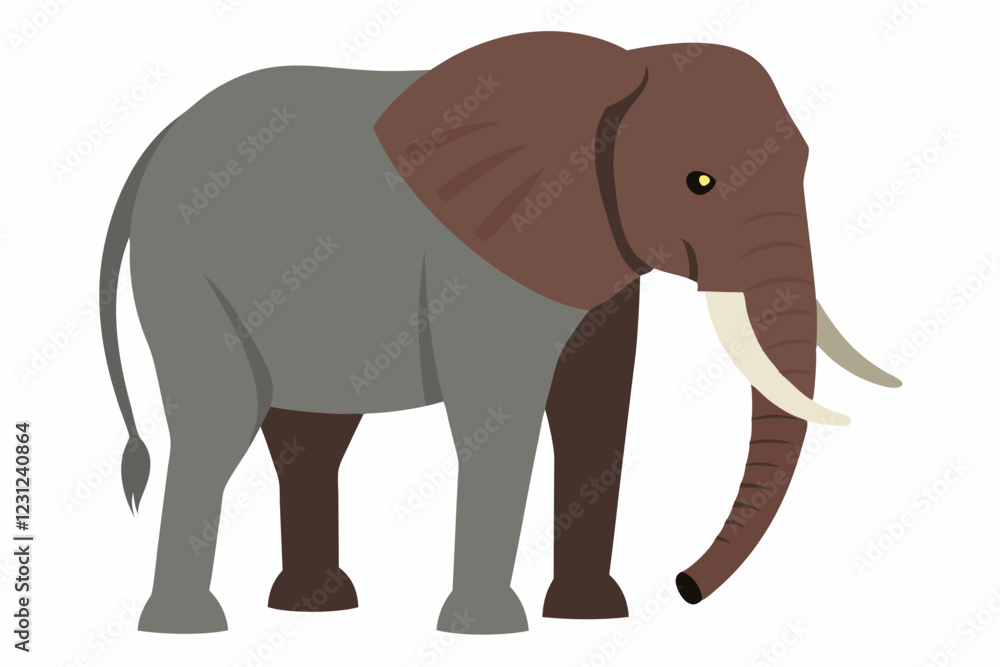 Fototapeta premium elephant isolated on white background
