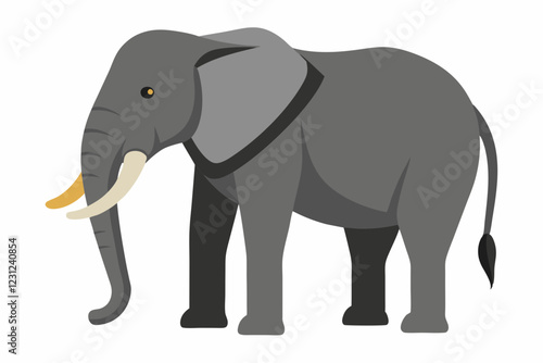 elephant isolated on white