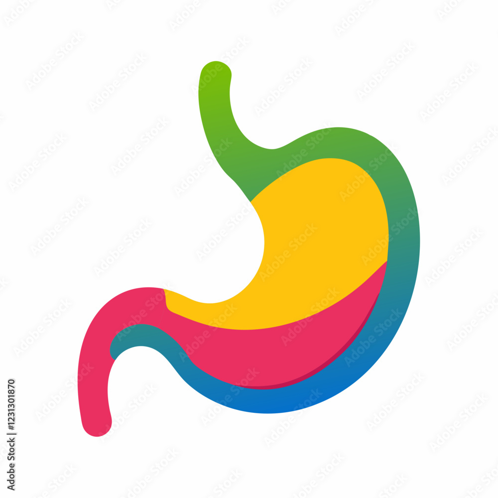 Vector Illustration of a Stomach Vector Illustration of a Stomach