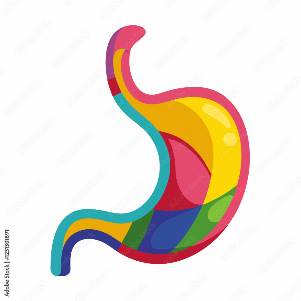 Fototapeta premium Vector Illustration of a Stomach