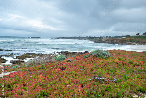 Coastline of 17 Mile Drive at Monterey, Pebble Beach, California USA photo