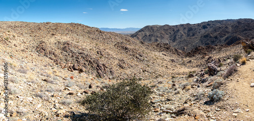 Hike through the stone desert to the oasis at Fortynine Palms, Joshua Tree National Park, California photo