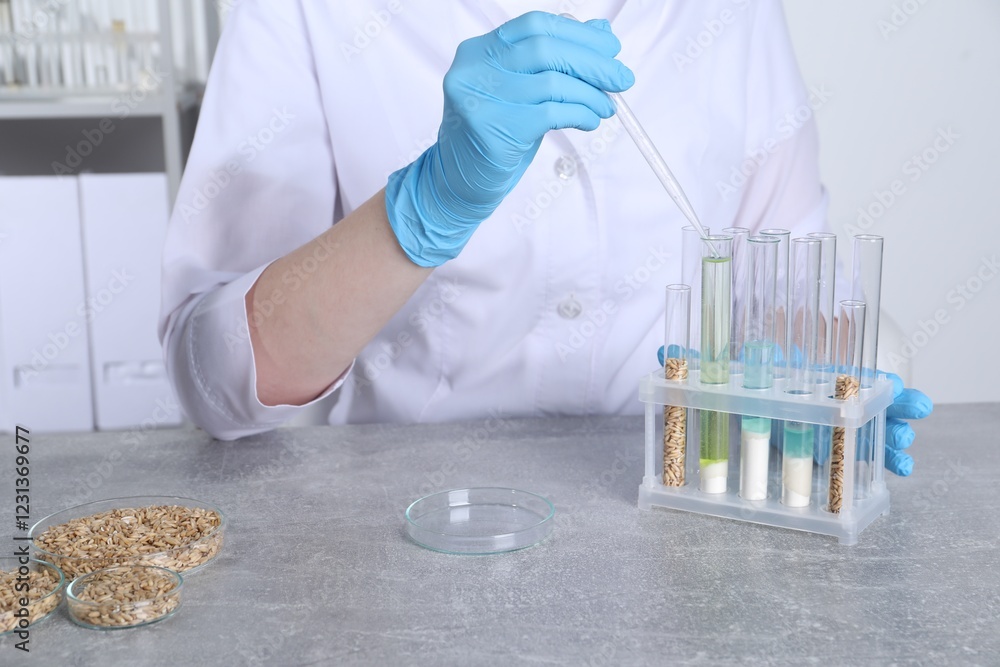 Laboratory testing. Scientist dripping sample into test tube at grey table indoors, closeup Laboratory testing. Scientist dripping sample into test tube at grey table indoors, closeup