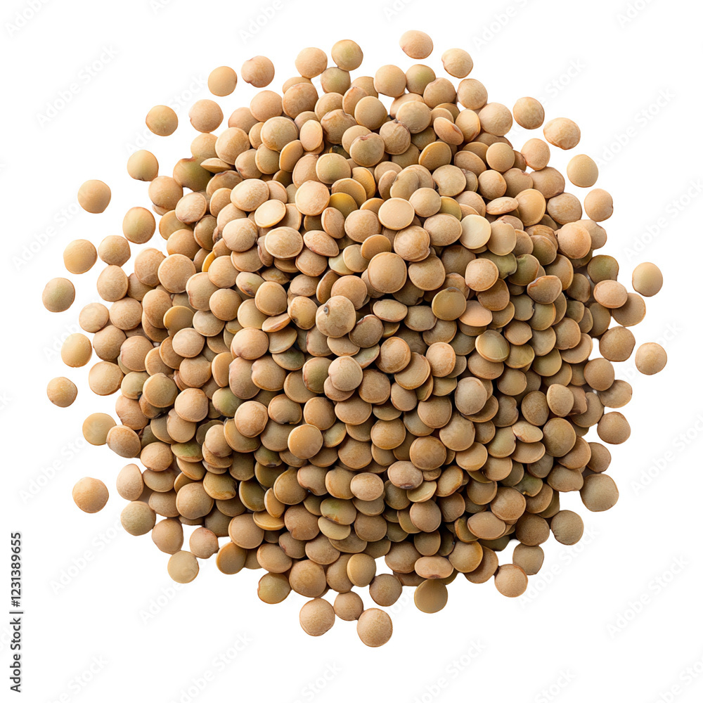Harvesting yellow lentils agricultural field food outdoor setting aerial view transparent background Harvesting yellow lentils agricultural field food outdoor setting aerial view transparent background