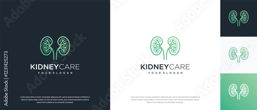 Kidney logo design. Kidney internal organ logo design vector icon