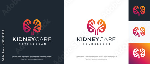 Kidney logo design. Kidney internal organ logo design vector icon