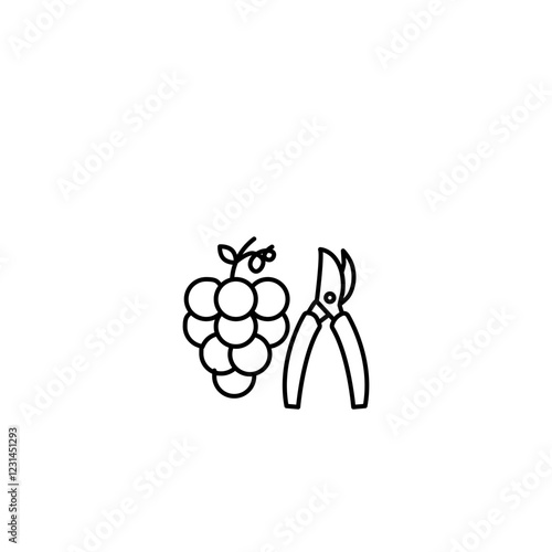 Pruning grape icon vector in line stroke on white background