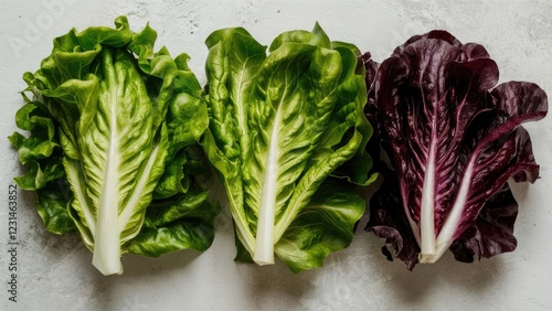 Vibrant green and purple lettuce leaves arranged symmetrically on a light surface showcasing healthy eating and fresh produce concept photo