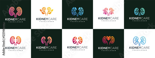 Collection of Kidney logo designs. Kidney internal organ logo design vector icon