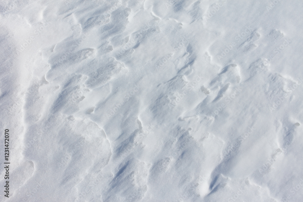 Obraz premium The snow is white and the ground is covered in it