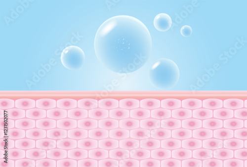 Moisturizer serum blue drop absorbed into the skin cell layer getting younger.