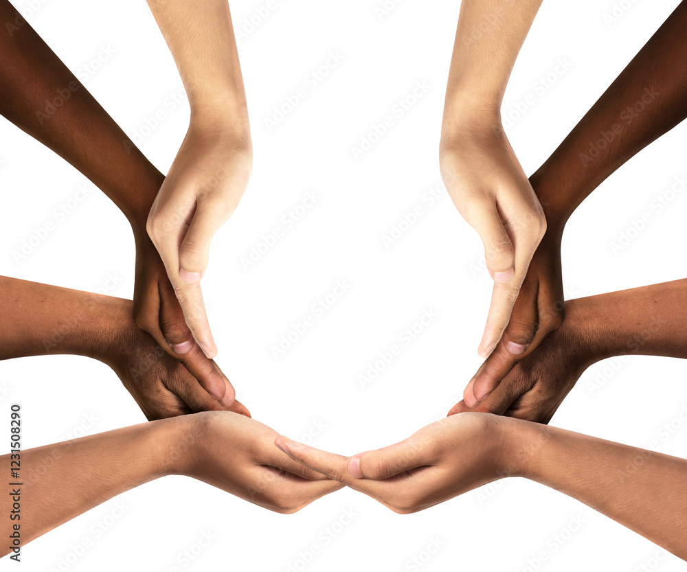 image to crop
