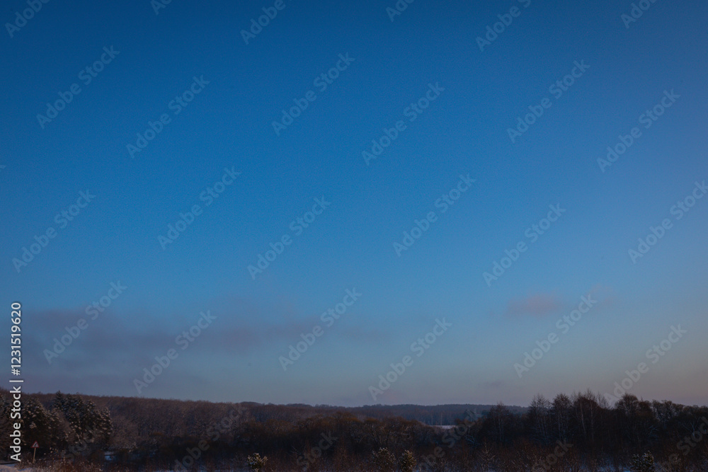 Fototapeta premium A winter evening in the wild