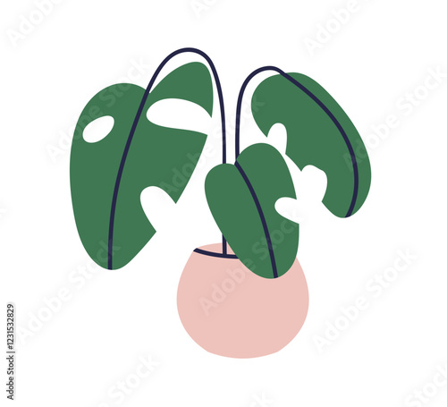 Monstera, green leaf plant in pot. Houseplant with big large leaves growing in planter. Fresh greenery, indoor decoration, natural vegetation. Flat vector illustration isolated on white background