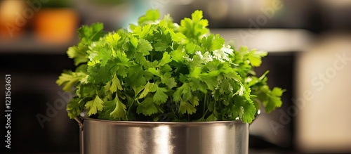 Fresh green coriander in a metallic pot centered with a blurred kitchen background showcasing cooking beauty and culinary freshness.