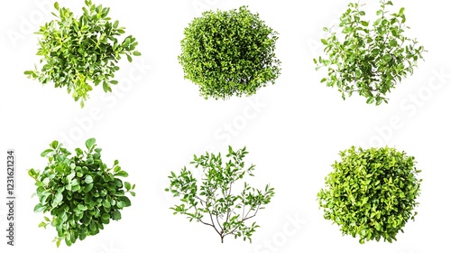 Aerial view of six green shrubs, isolated on white background; landscape design. Generative ai