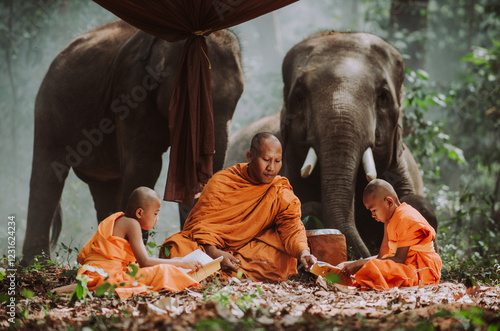 Photography Thai monks studying in the jungle with elephants