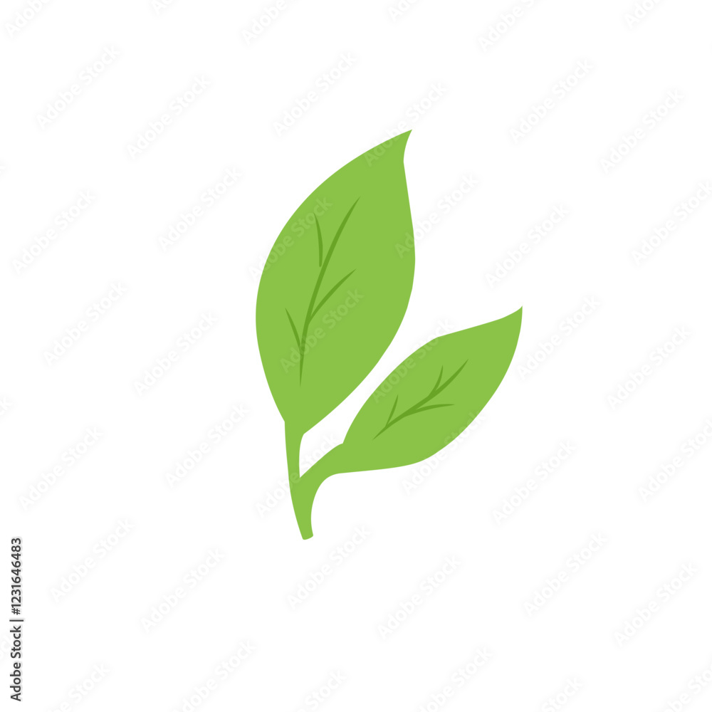 green leaf vector design green leaf vector design