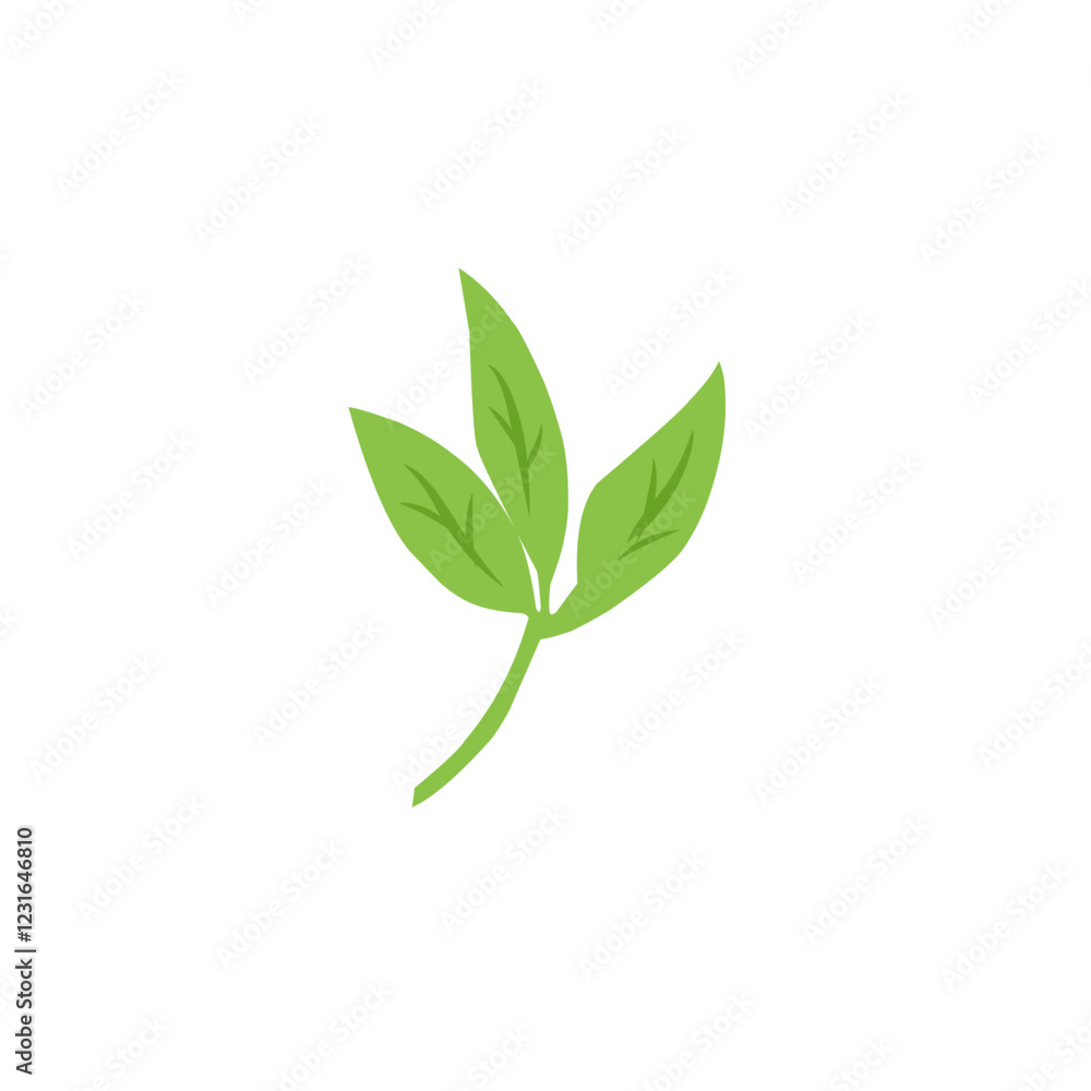 green leaf vector design green leaf vector design