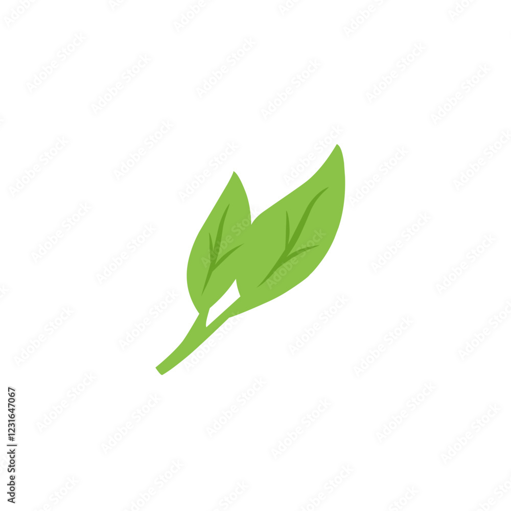 green leaf vector design green leaf vector design