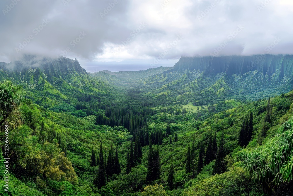 Fototapeta premium Lush Tropical Valley Surrounded by Misty Mountains Beneath a Cloudy Sky in a Scenic Nature Landscape