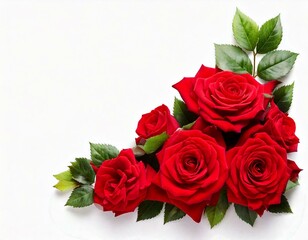 Red rose flowers in a corner floral arrangement isolated on white