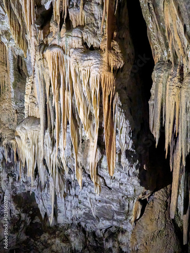 Postojna Cave, Slovenia