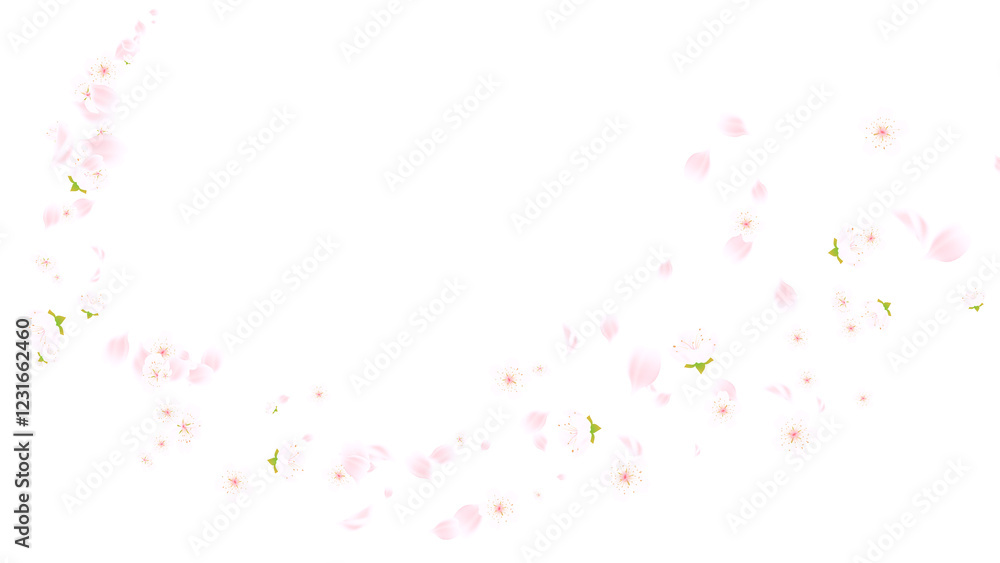 spring time flower cherry blossoms and petals trail on transparent background, png cosmetics and beauty season sale overlay design element spring time flower cherry blossoms and petals trail on transparent background, png cosmetics and beauty season sale overlay design element