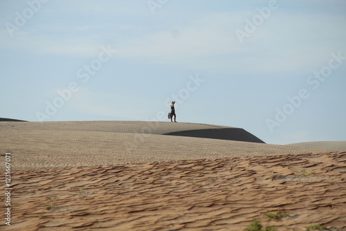 mulher nas dunas do rosado, rio grande do norte photo