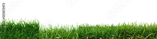 Close up view of vibrant green grass blades in natural outdoor environment