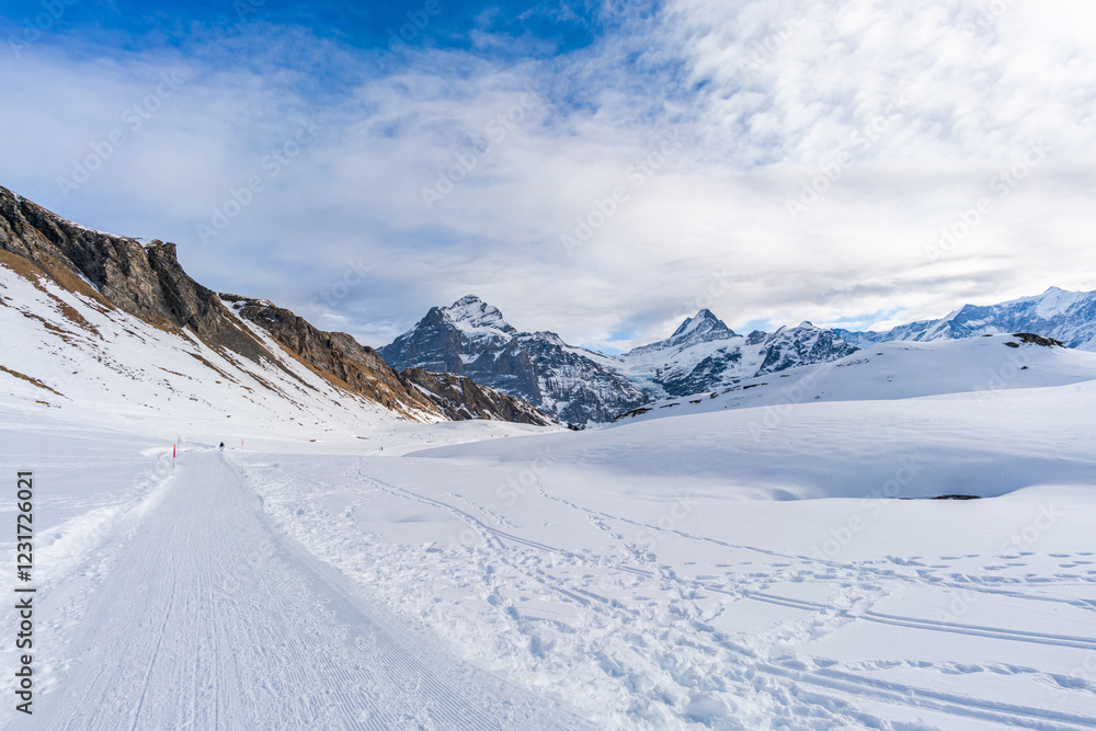 Winter landscape with snow covered peaks seen from the First mountain in Swiss Alps in Grindelwald ski resort, Switzerland Winter landscape with snow covered peaks seen from the First mountain in Swiss Alps in Grindelwald ski resort, Switzerland