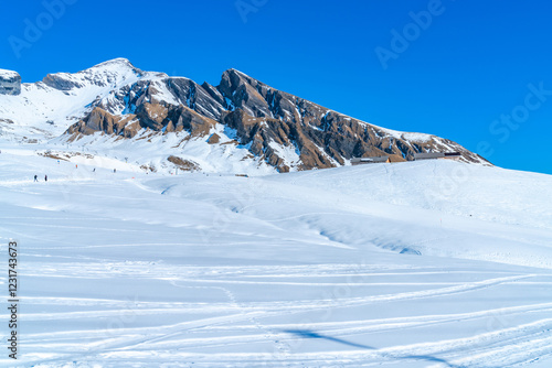Wallpaper Mural Winter landscape on the First mountain in Swiss Alps in Grindelwald, Switzerland Torontodigital.ca