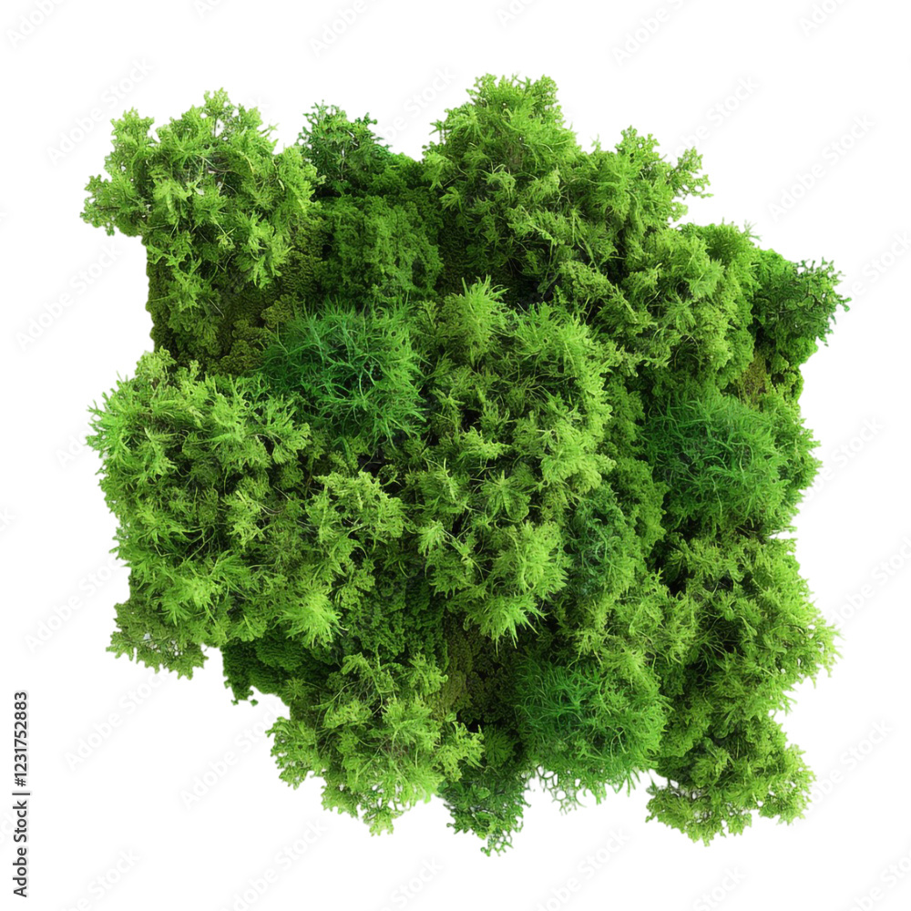 Obraz premium 3D Abstract Green Moss – Nature-Inspired Moss Texture Isolated on Transparent Background