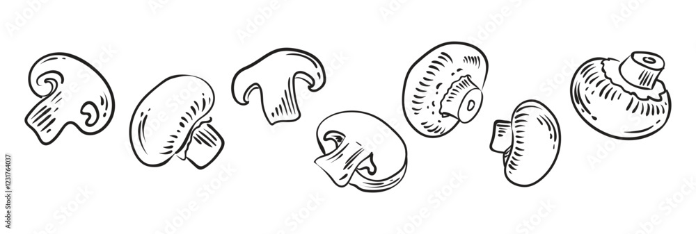 Illustrations of champignons mushrooms in different angles drawn by hand. Slices and whole mushrooms. Set of Vector sketches isolated on white background Illustrations of champignons mushrooms in different angles drawn by hand. Slices and whole mushrooms. Set of Vector sketches isolated on white background