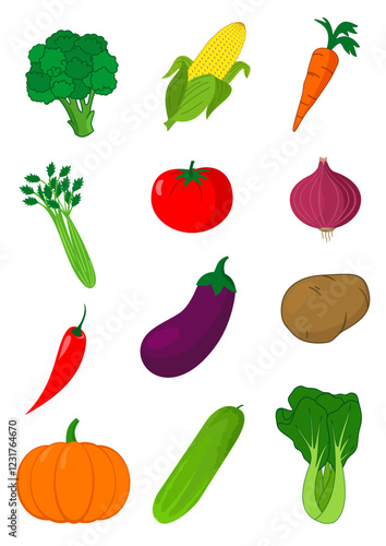 vegetables vector