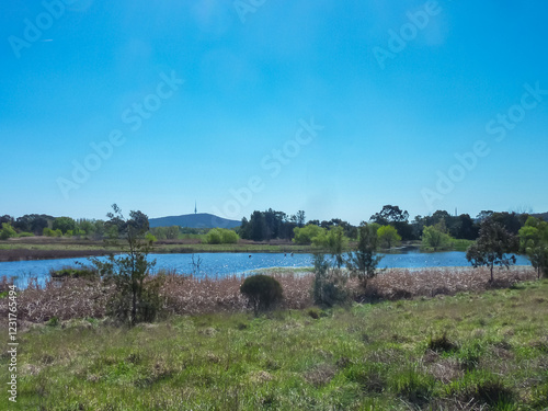 Obraz na płótnie Tranquil wetland landscape at Jerrabomberra Wetlands with Black Mountain Tower visible on horizon in Canberra, Australia. Serene lake reflects bright sky, surrounded by native reeds. Nature reserve w salonie